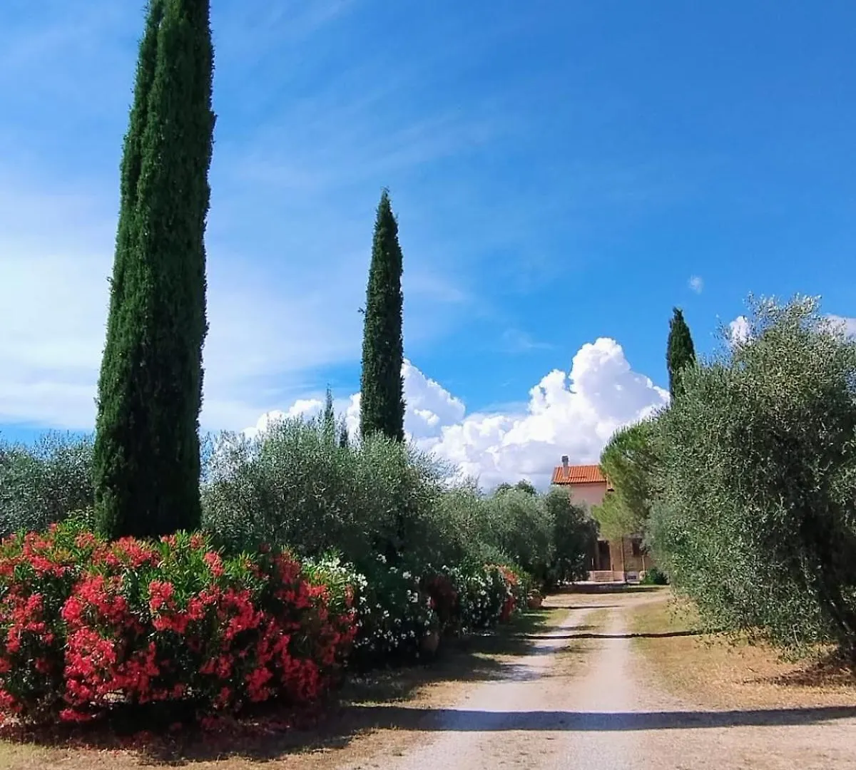 Agriturismo Il Riccio Forni di Gavorrano Italy