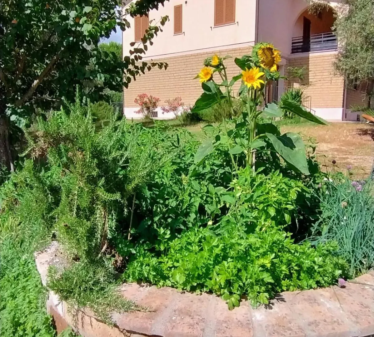 Agriturismo Il Riccio Forni di Gavorrano 0*,  Italy